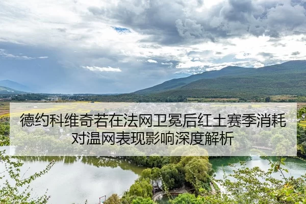 de-yue-ke-wei-qi-ruo-zai-fa-wang-wei-mian-hou-hong-tu-sai-ji-xiao-hao-dui-wen-wang-biao-xian-ying-xiang-shen-du-jie-xi-2-229.jpg